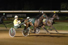 Harness Racing