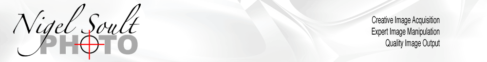 Site Title