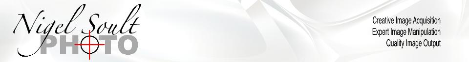 NewNSPLogo2